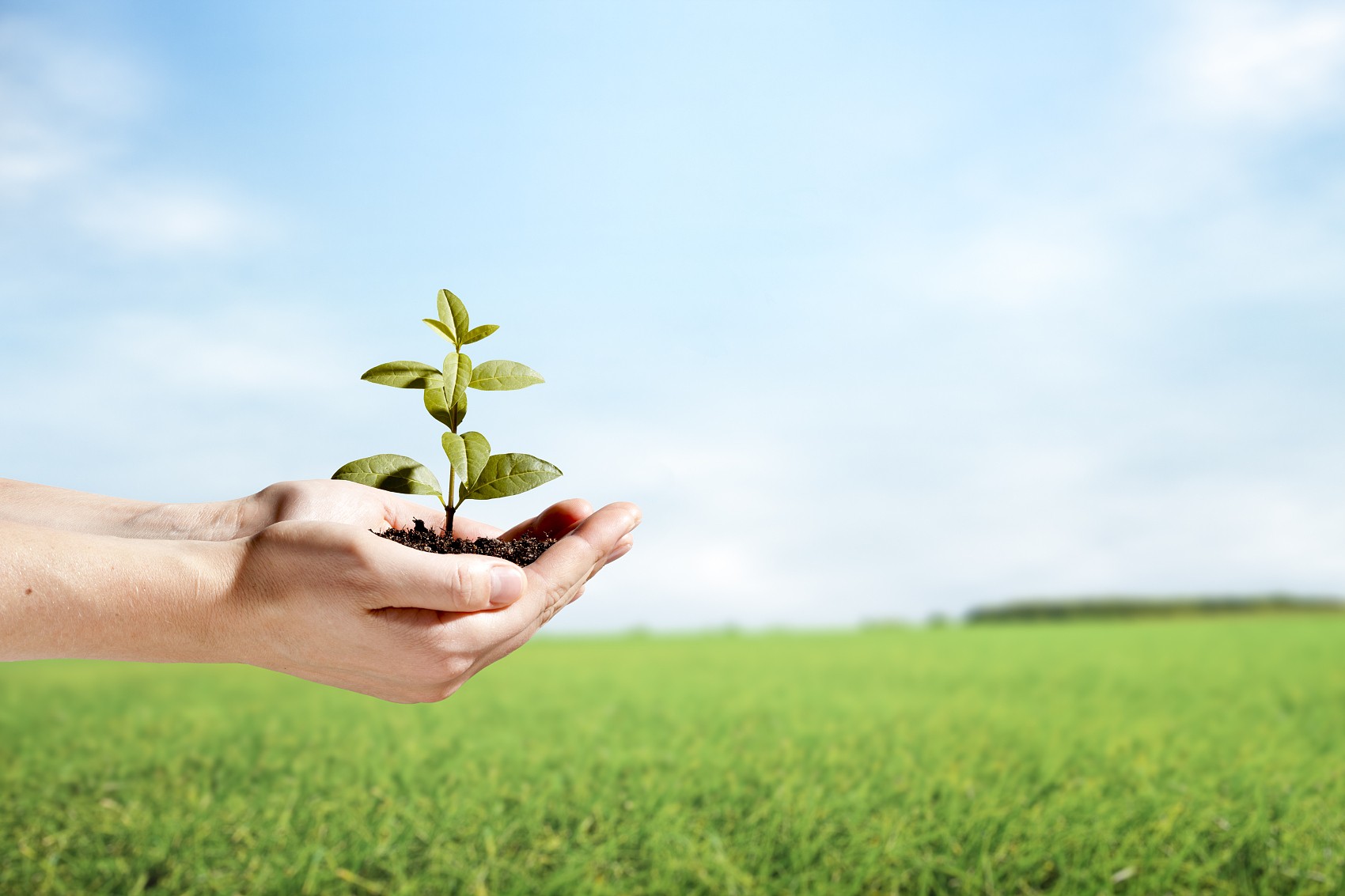 省節能協會袁亮秘書長、遂寧檢測公司戴云峰總經理一行蒞臨天晟源環保座談交流