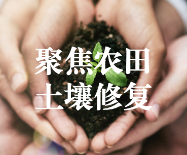 聚焦農田土壤修復，保障糧食產品安全 ——踔厲奮發、篤行不怠，以奮斗之姿獻禮黨的二十大